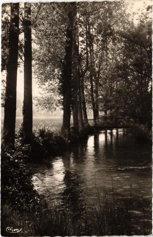 Carte postale ancienne La Chartre-sur-le-Loir Bords du Loir France à La Chartre-sur-le-Loir
