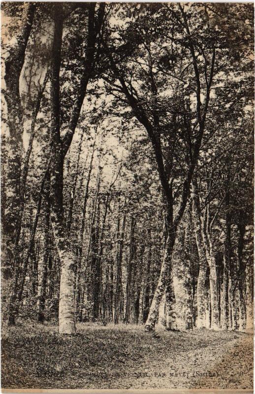 Carte postale ancienne Mange Commune de Verneil par Mayet France à Verneil-le-Chétif