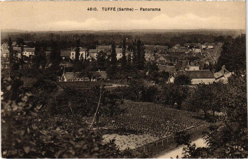Carte postale ancienne Tuffe Panorama France