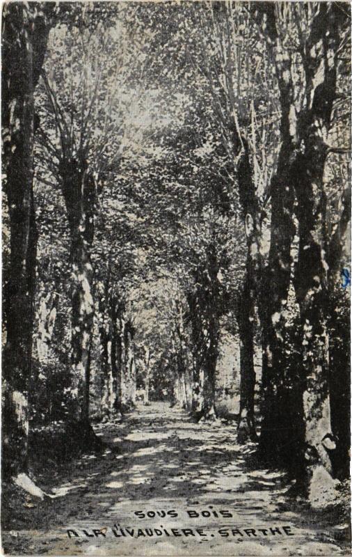 Carte postale ancienne Sous Bois a la Livaudiere France
