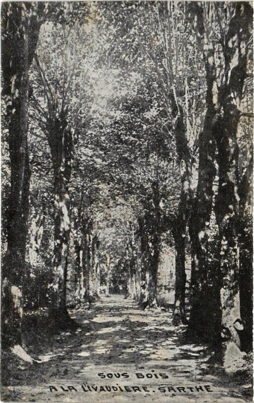 Carte postale ancienne Sous Bois a la Livaudiere France