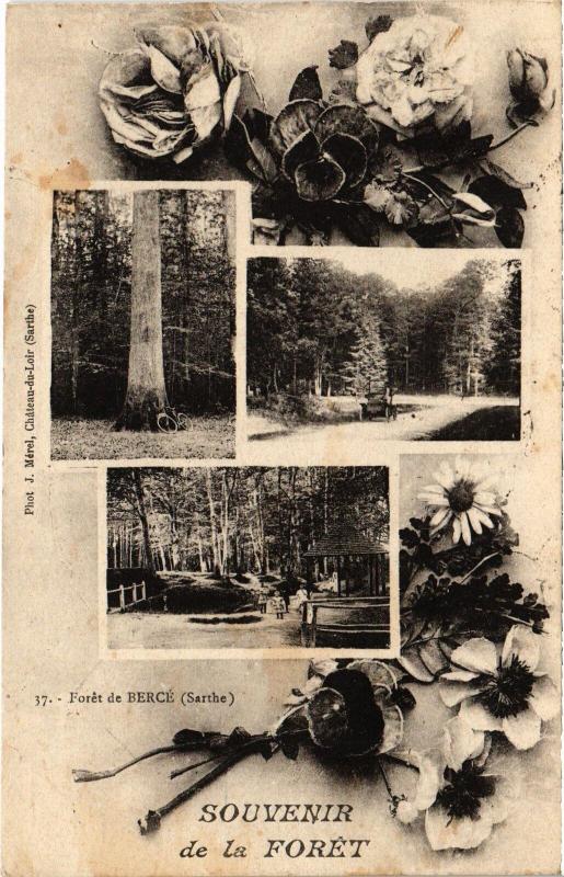 Carte postale ancienne Souvenir de la Foret - Foret de Berce France