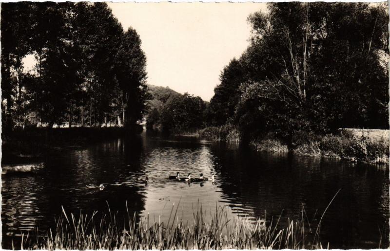 Carte postale ancienne La Chartre-sur-le-Loir Les Bords du Loir France à La Chartre-sur-le-Loir