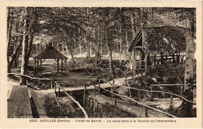 Carte postale ancienne Jupilles Foret de Berche - Le sous-Bois France à Jupilles