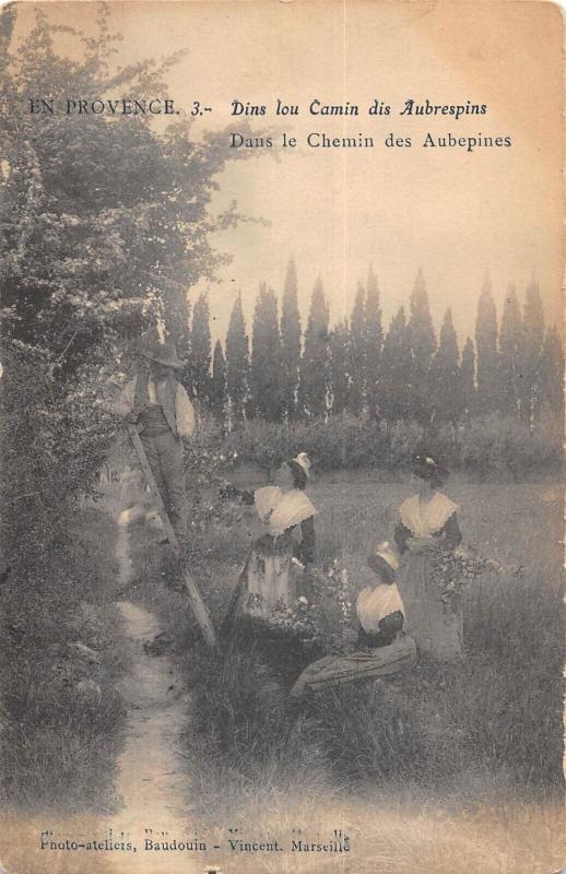 Carte postale ancienne En Provence - Dans Le Chemin Des Aubepines
