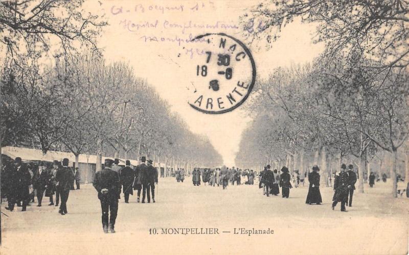 Carte postale ancienne Montpellier - L'Esplanade à Montpellier