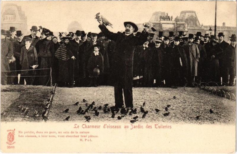 Carte postale ancienne Paris 1e - Le Charmeur d'Oiseaux à Paris 1er