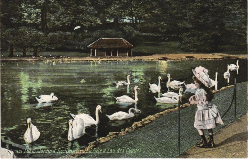 Carte postale ancienne Jardin d'Acclimatation - La Pièce d'eau des Cygnes à Paris 16e