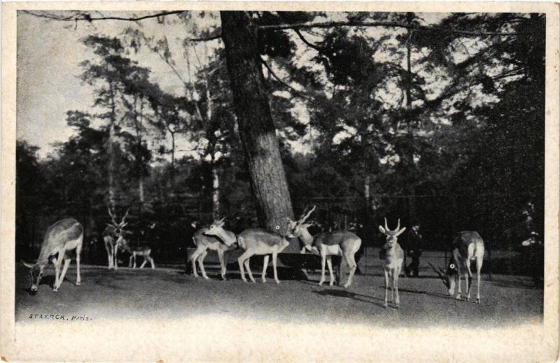 Carte postale ancienne Paris 16e-Roebucks à Paris 16e