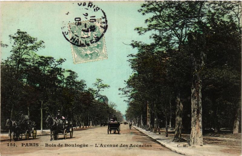 Carte postale ancienne Bois de Boulogne - L'Avenue des Accacias à Paris 16e