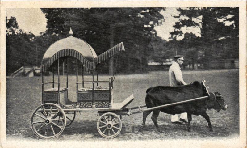 Carte postale ancienne Jardin d'Acclimatation à Neuilly-sur-Seine