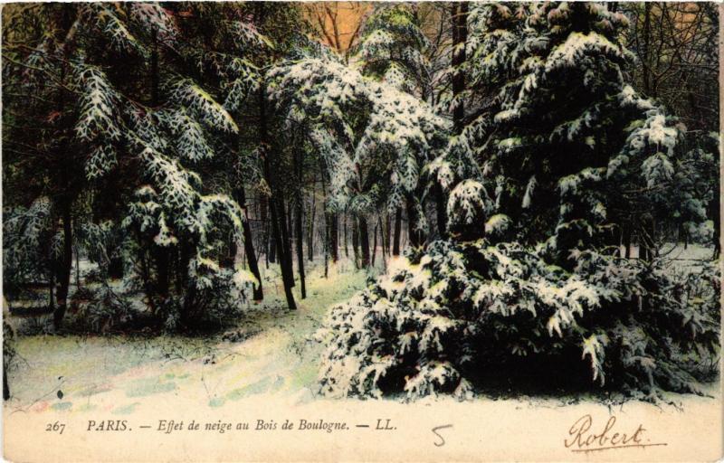 Carte postale ancienne Effet de Neige au Bois de Boulogne à Paris 16e