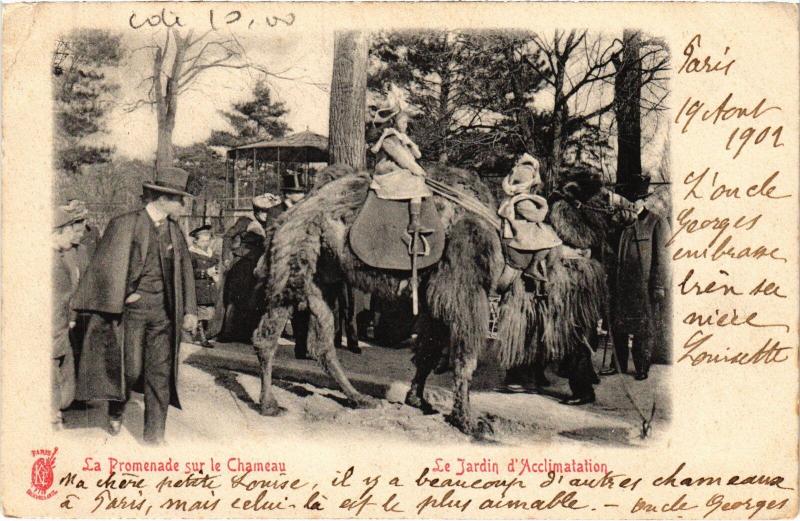 Carte postale ancienne Le Jardin d'Acclimatation - La Promenade sur le Chameau à Neuilly-sur-Seine