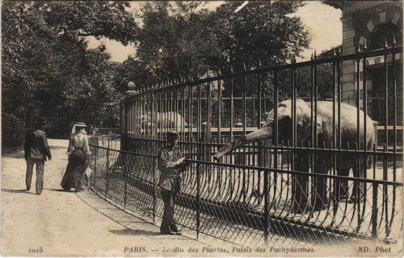 Carte postale ancienne Paris 5e Jardin des Plantes Palais des Pachydermes à Paris 5e