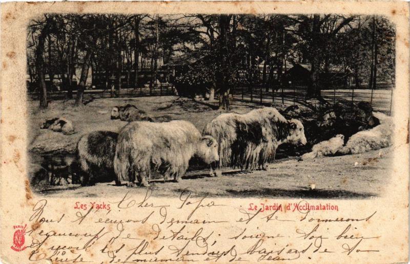 Carte postale ancienne Le Jardin d'Acclimatation - Les Yacks à Neuilly-sur-Seine