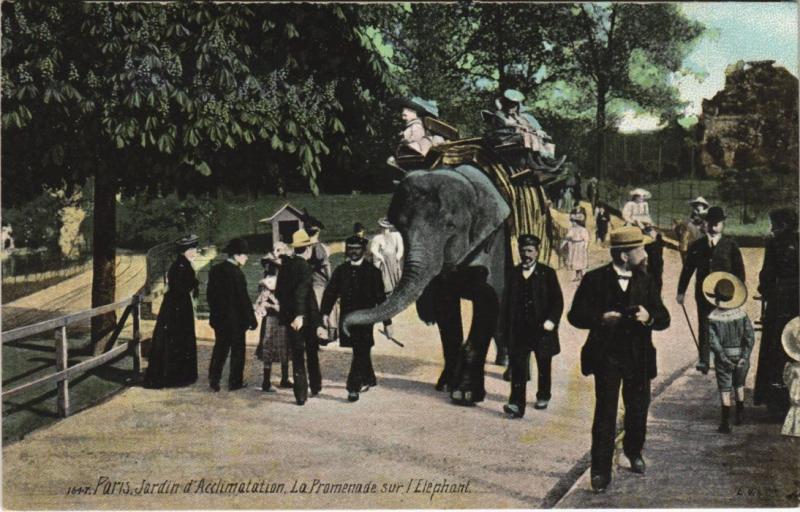 Carte postale ancienne Jardin d'Acclimatation - La Promenade sur l'Eléphant à Neuilly-sur-Seine