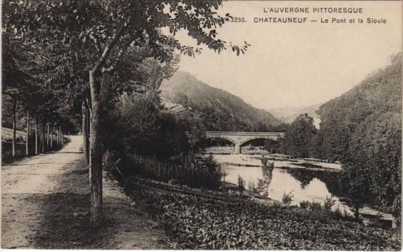 Carte postale ancienne Chateauneuf-les-Bains Le Pont et la Sioule