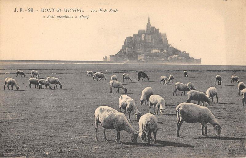 Carte postale ancienne Le Mont Saint Michel - Les Pres Sales au Mont-Saint-Michel