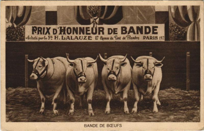 Carte postale ancienne Bande de Boeufs à Paris 19e