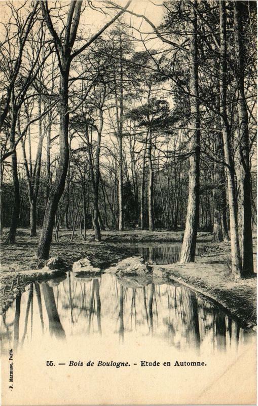 Carte postale ancienne Bois de Boulogne - Etude en Automne à Paris