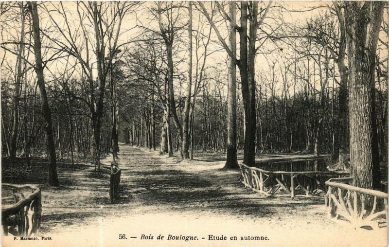 Carte postale ancienne Bois de Boulogne - Etude en automne à Paris 16e