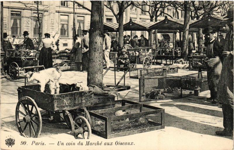Carte postale ancienne Paris - Un coin du Marché aux Oiseaux à Paris