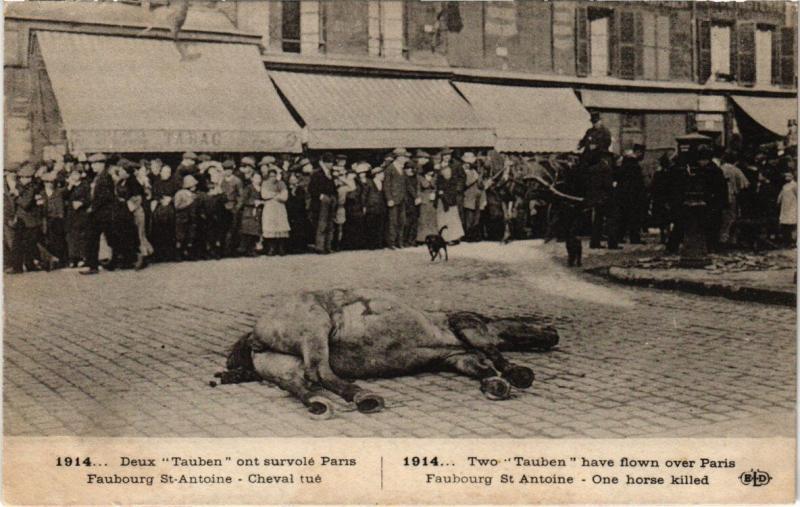 Carte postale ancienne Paris 11e - Deux Tauben ont survolé Paris à Paris 11e