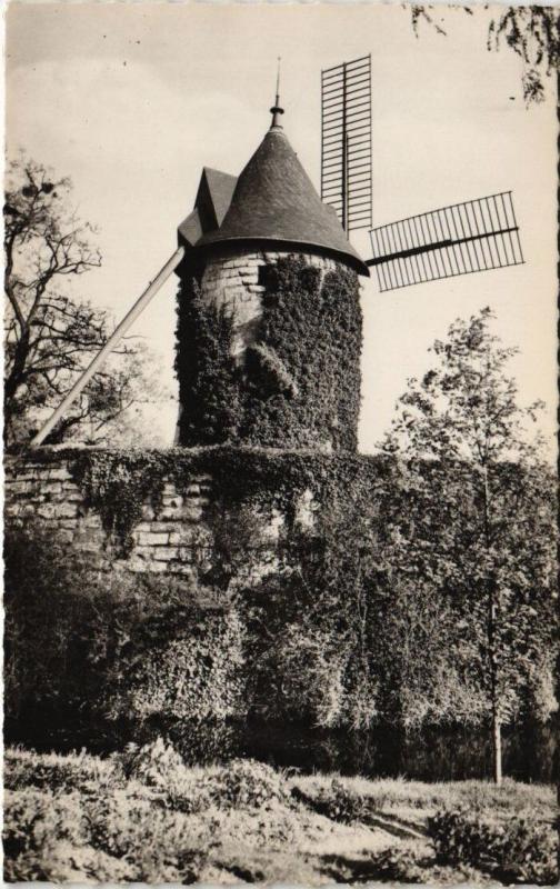 Carte postale ancienne Bois de Boulogne - Le Moulin de Longchamps à Paris 16e