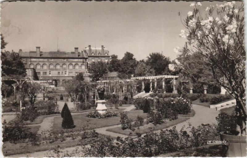 Carte postale ancienne Clermont Ferrand Roseraie du Jardin Lecoq à Clermont-Ferrand