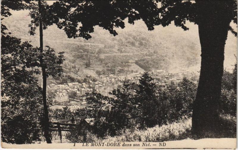 Carte postale ancienne Mont Dore dans son Nid à Mont-Dore