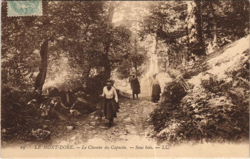 Carte postale ancienne Mont Dore Chemin du Capucin, Sous bois à Mont-Dore