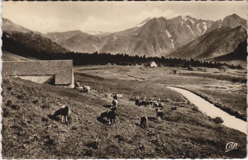 Carte postale ancienne Le Mont-Dore La Route et la Chaine du Sancy à Mont-Dore