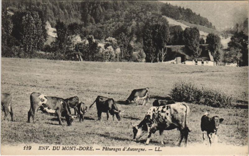 Carte postale ancienne Le Mont-Dore Environs - Paturages d'Auvergne à Mont-Dore