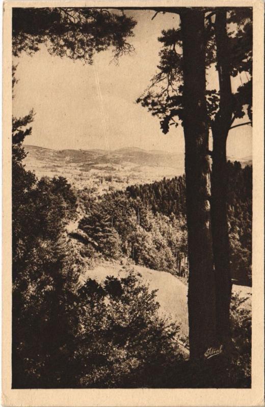 Carte postale ancienne Ambert Le Livradois Pittoresque - Vers Ambert et la Plaine à Ambert