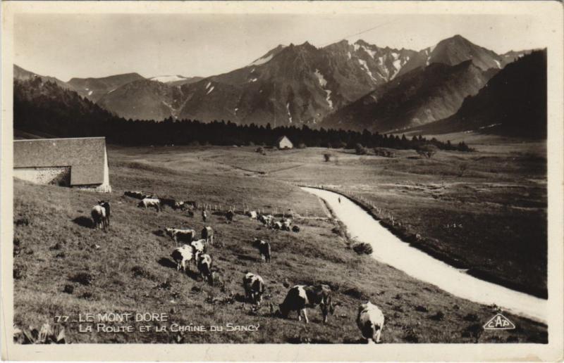 Carte postale ancienne Le Mont-Dore La Route et la Chaine du Sancy à Mont-Dore