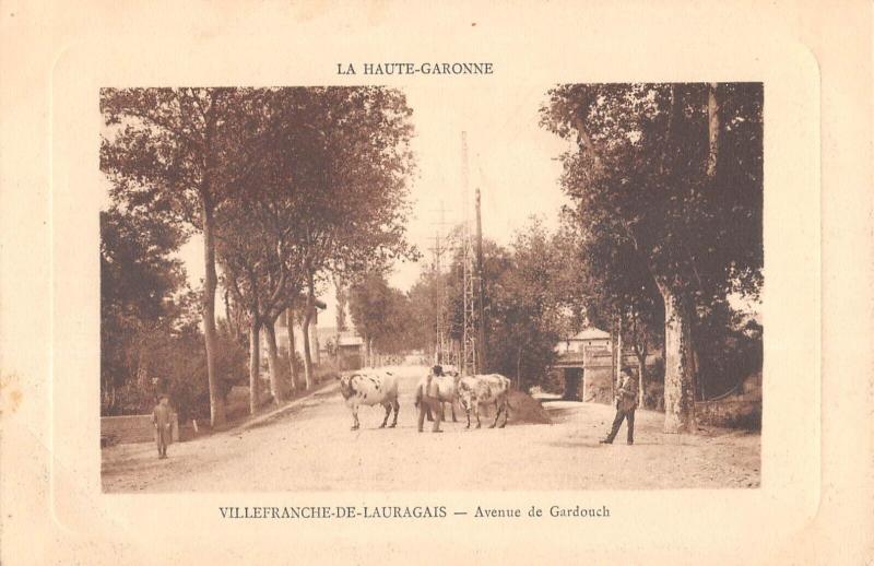 Carte postale ancienne Villefranche De Lauragais - Avenue De Gardouch à Villefranche-de-Lauragais