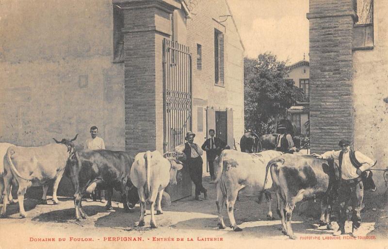 Carte postale ancienne Perpignan - Domaine Du Foulon - Entree De La Laiterie à Perpignan