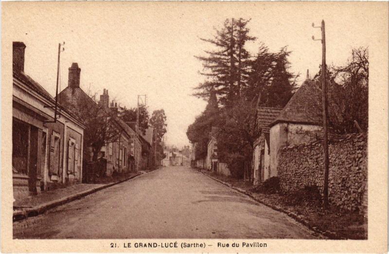 Carte postale ancienne Le Grand Luce Rue du Pavillon
