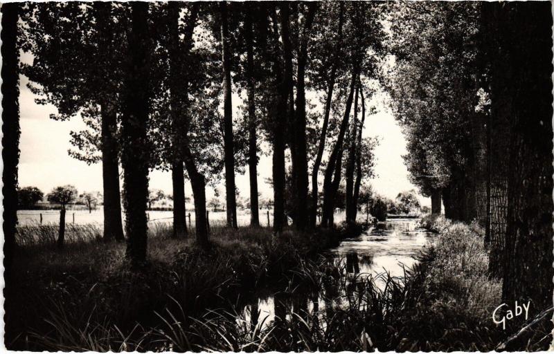 Carte postale ancienne Mayet bords du Gandelin à Mayet