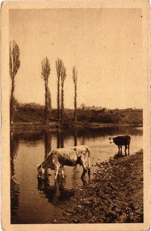 Carte postale ancienne Sable Abreuvoir