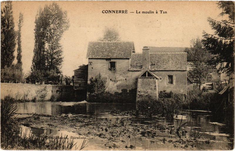 Carte postale ancienne Connerre Avenue de Paris