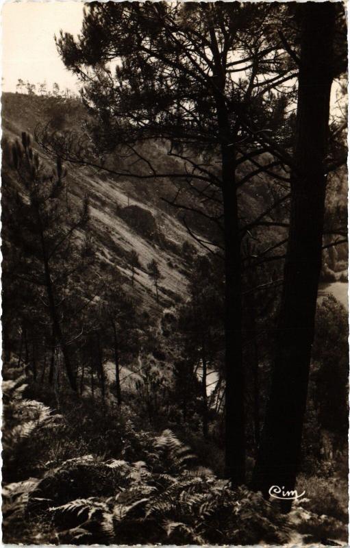 Carte postale ancienne St Leonard des Bois vue generale