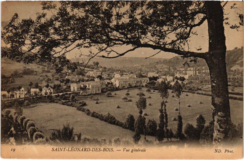 Carte postale ancienne St Leonard des Bois vieux pont