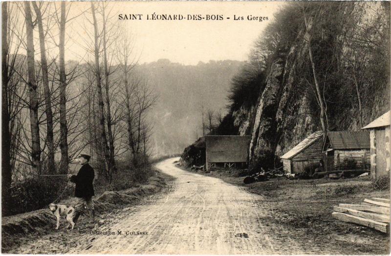 Carte postale ancienne St Leonard des Bois les gorges
