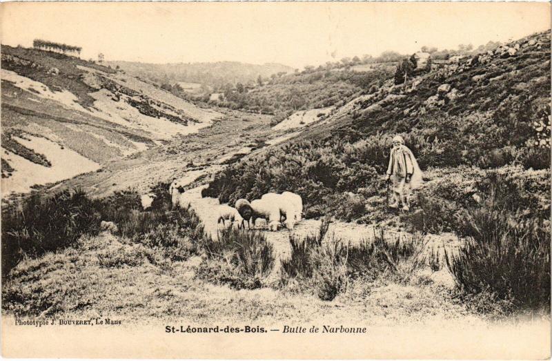 Carte postale ancienne St Leonard des Bois Butte de Narbonne