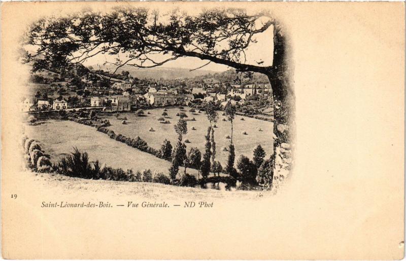 Carte postale ancienne St Leonard des Bois vue generale