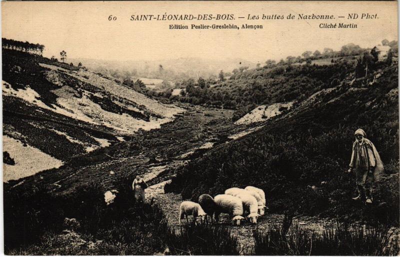 Carte postale ancienne St Leonard des Bois les buttes de Narbonne