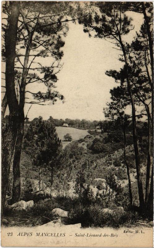 Carte postale ancienne St Leonard des Bois