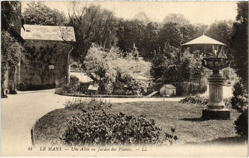 Carte postale ancienne Le Mans une allee au Jardin des Plantes au Mans