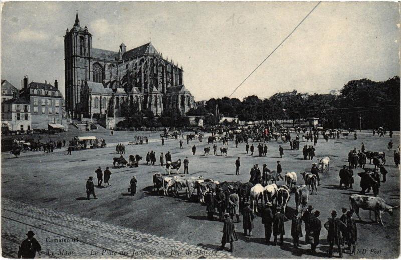 Carte postale ancienne Le Mans Place des Jacobins un jour de marche au Mans